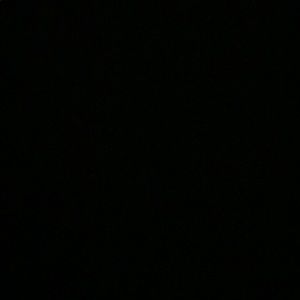 Meet your Posher, Shayan